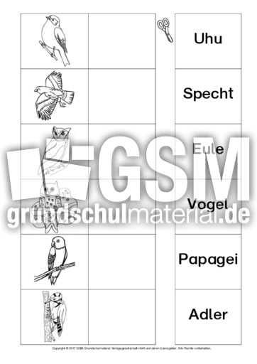 AB-Tiere-Zuordnung 5.pdf